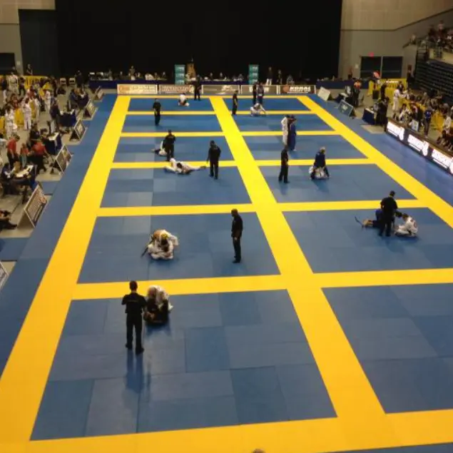 jiu jitsu mats